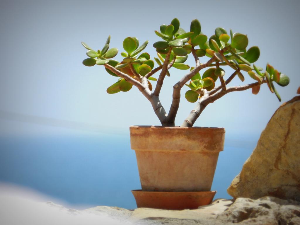 Appartamento Don Nino Lido di Noto Buitenkant foto